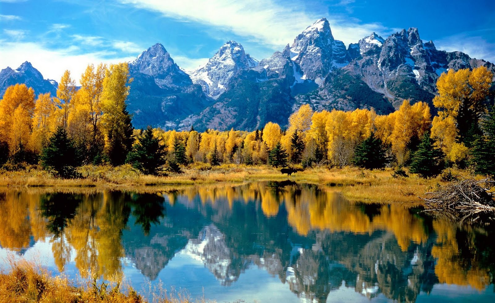 HQ Wallpapers: Nature HQ Wallpapers